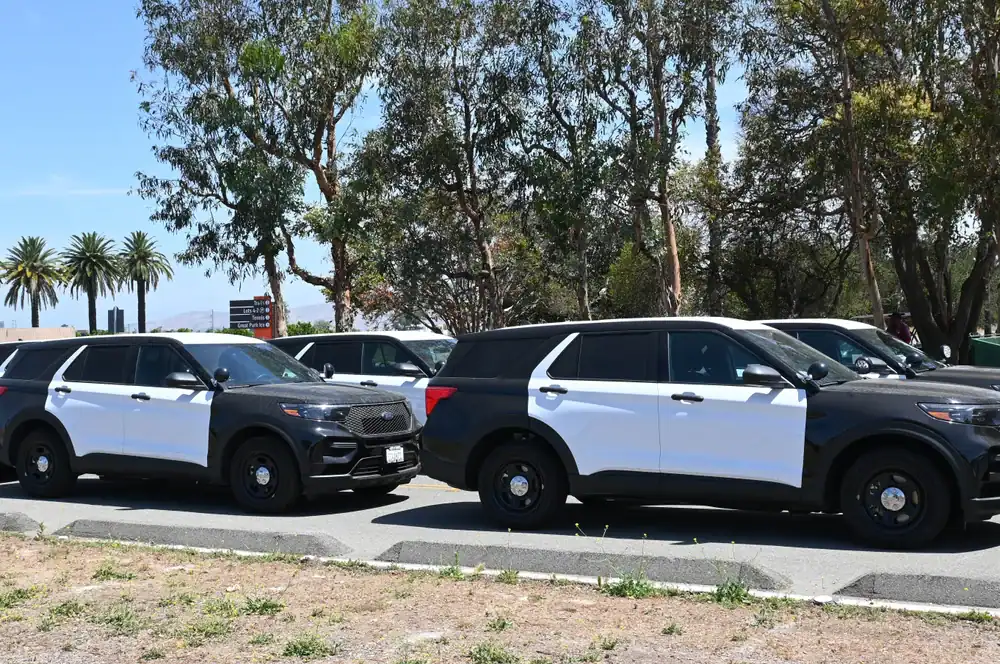Two black and white police SUVs, likely used police cars NJ, are parked side by side on the street, with trees and palm trees in the background on a sunny day.